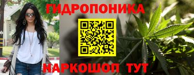 ALPHA PVP Кимры