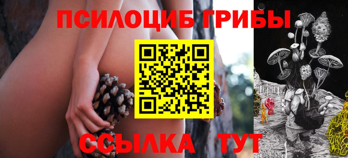 Корсаков  Псилоцибиновые грибы MAGIC MUSHROOMS  Вход с VPN 